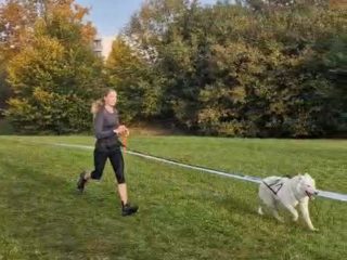 Gladiator Race Dog Praha 2024