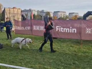 Gladiator Race Dog Praha 2024