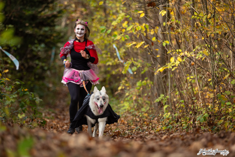 EDR Halloween Afterparty + Dogbiatlon