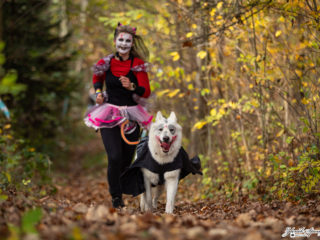 EDR Halloween Afterparty + Dogbiatlon