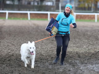 Extreme Dog Race Steeplechase 2024