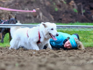 Extreme Dog Race Steeplechase 2024