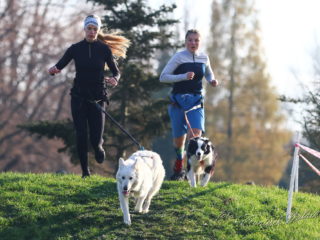 Extreme Dog Race Steeplechase 2024