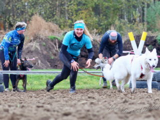 Extreme Dog Race Steeplechase 2024