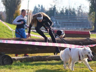 Extreme Dog Race Steeplechase 2024