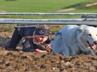 Extreme Dog Race Steeplechase 2024