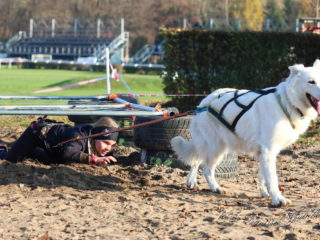 Extreme Dog Race Steeplechase 2024