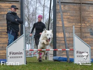 Gladiator Dog Race Final 2024