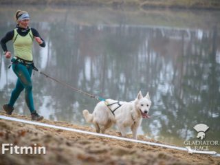 Gladiator Dog Race Final 2024