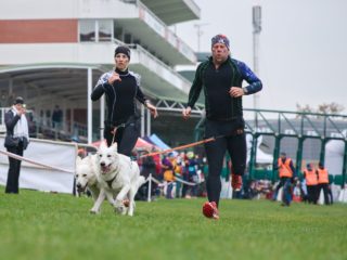 Extreme Dog Race Steeplechase 2024