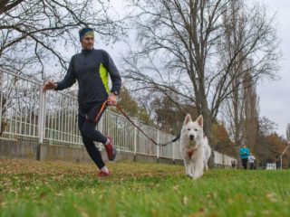 Extreme Dog Race Steeplechase 2024