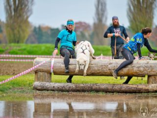 Extreme Dog Race Steeplechase 2024