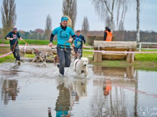 Extreme Dog Race Steeplechase 2024