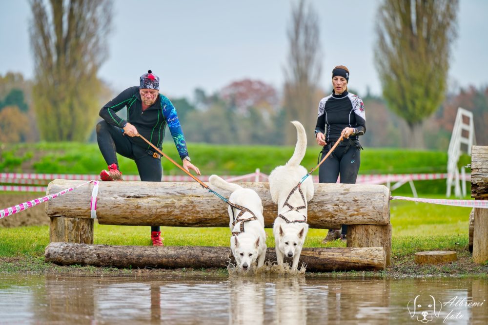 Extreme Dog Race Steeplechase 2024