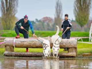 Extreme Dog Race Steeplechase 2024