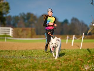 Extreme Dog Race Steeplechase 2024