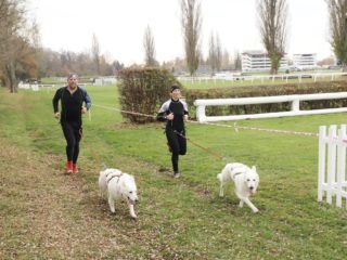 Extreme Dog Race Steeplechase 2024