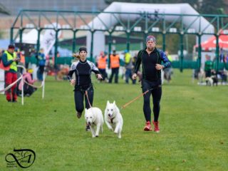 Extreme Dog Race Steeplechase 2024