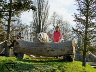 Extreme Dog Race Steeplechase 2024