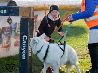 Extreme Dog Race Steeplechase 2024