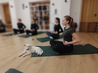 Pets yoga, Mimoni + Nonstop