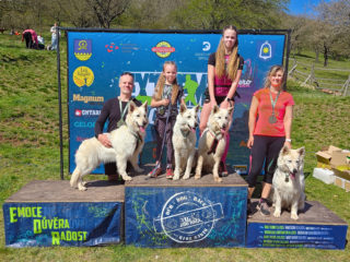 Extreme Dog Race Točník