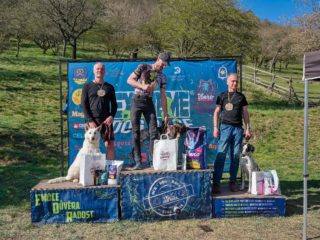 Extreme Dog Race Točník