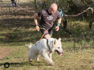 Extreme Dog Race Točník