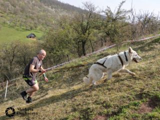 Extreme Dog Race Točník