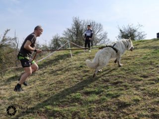 Extreme Dog Race Točník