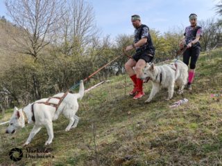 Extreme Dog Race Točník