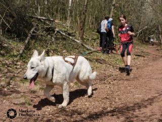 Extreme Dog Race Točník