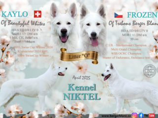 Litter „O“ Niktel