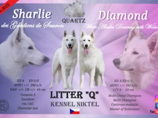 Vrh „Q“ – Quartz NIKTEL (CZ)