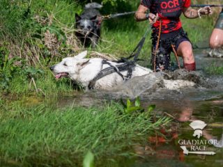 Gladiator Race Milovice 2025