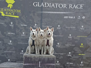 Gladiator Race Milovice 2025