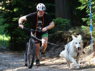 EDR Dog Triathlon 2025