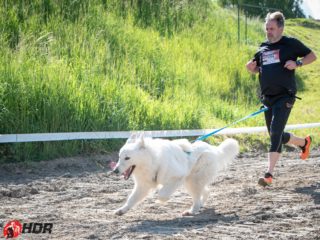 Hard Dog Race base CZ 2025