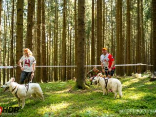 Hard Dog Race base CZ 2025