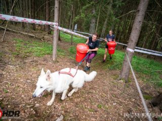 Hard Dog Race base CZ 2025