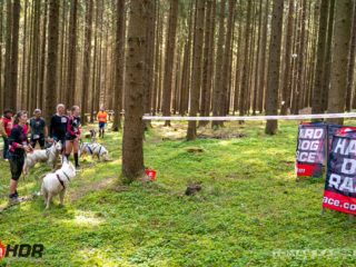 Hard Dog Race base CZ 2025