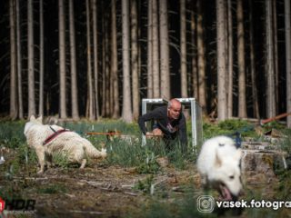 Hard Dog Race base CZ 2025