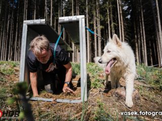Hard Dog Race base CZ 2025