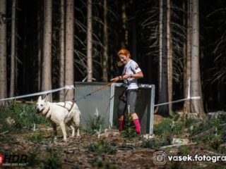 Hard Dog Race base CZ 2025
