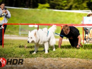 Hard Dog Race base CZ 2025