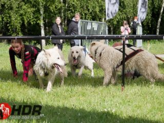 Hard Dog Race base CZ 2025