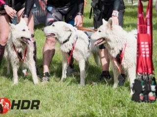 Hard Dog Race base CZ 2025