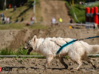 Hard Dog Race base CZ 2025