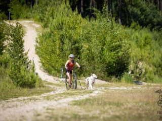 EDR Dog Triathlon 2025