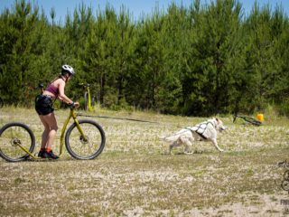 EDR Dog Triathlon 2025